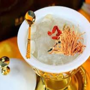 yến nóng đông trùng