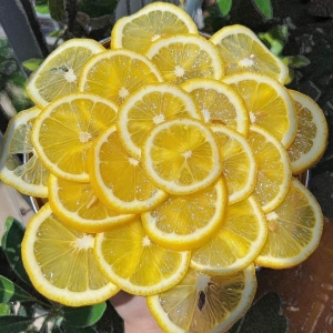 Nhuỵ hoa nghệ Tây ngâm mật ong