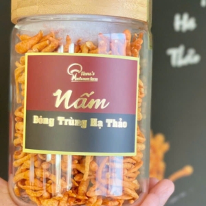 Đông trùng hạ thảo 33gr