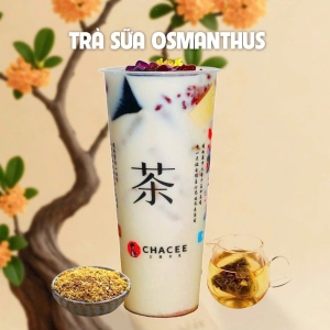 TRÀ SỮA OSMANTHUS